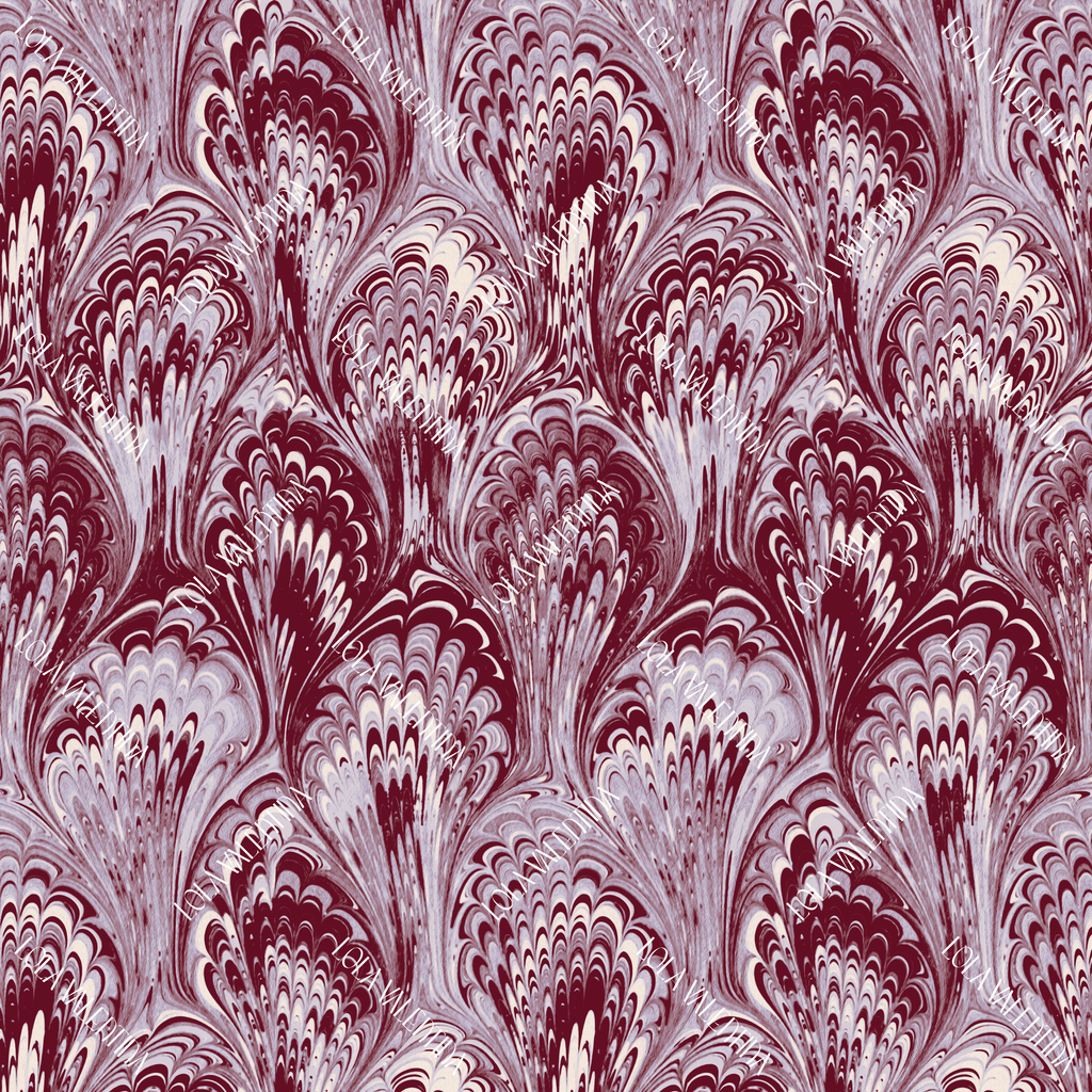 Maroon Orchid Bloom Ebru
