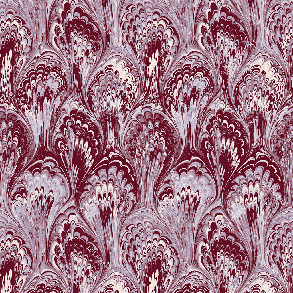 Maroon Orchid Bloom Ebru